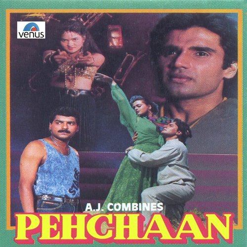 Pehchaan (1993) (Hindi)
